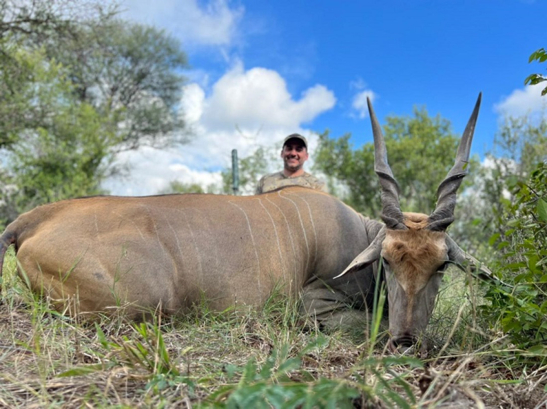 Eland Hunting