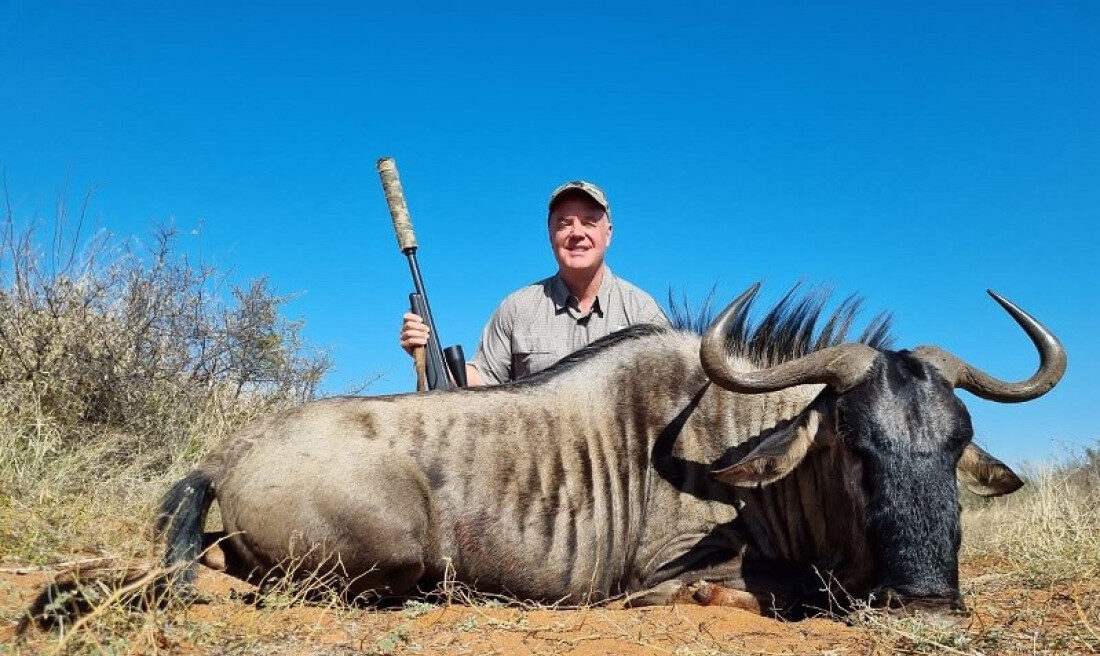 Blue Wildebeest Hunting