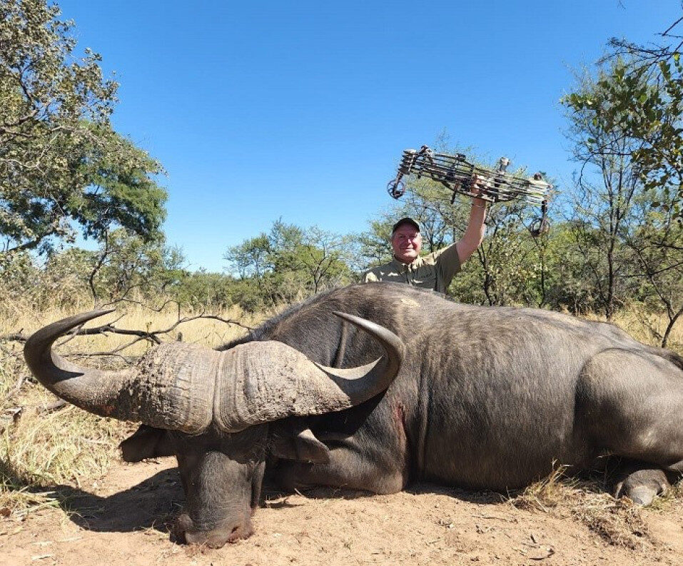 cape buffalo hunting