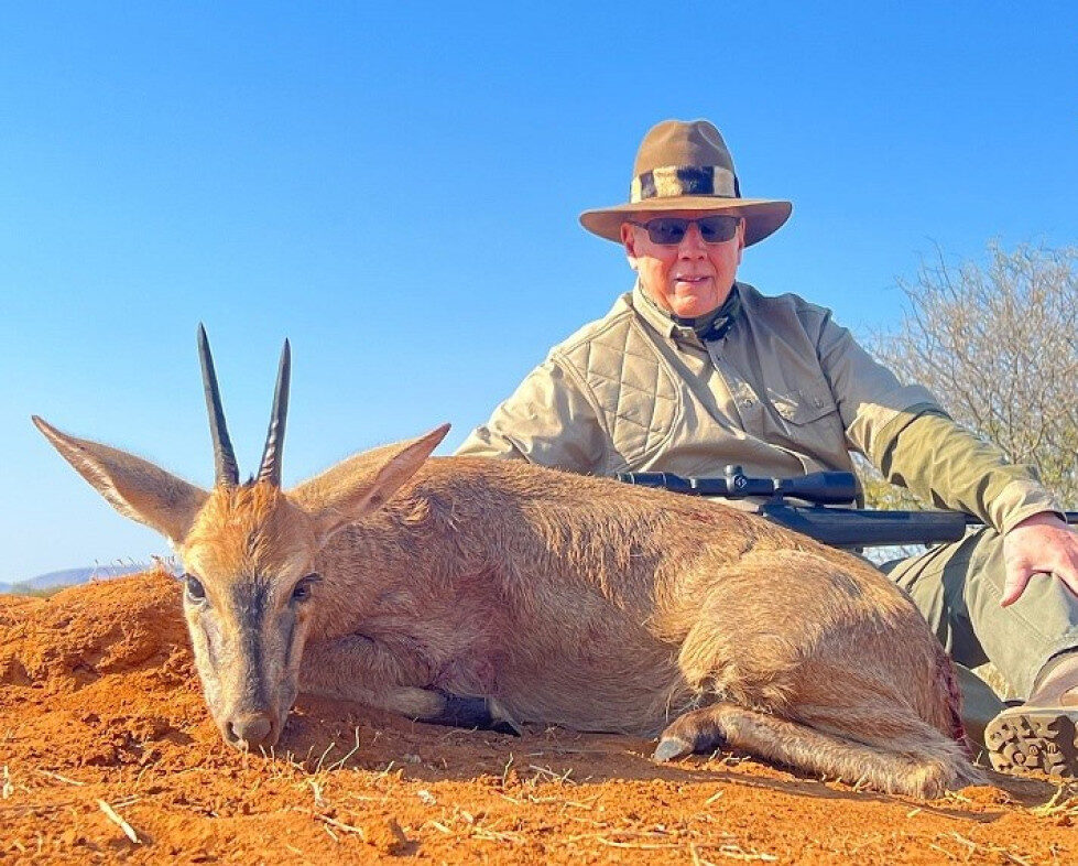 Grey Duiker Hunting