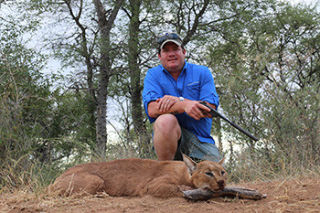 Caracal hunting