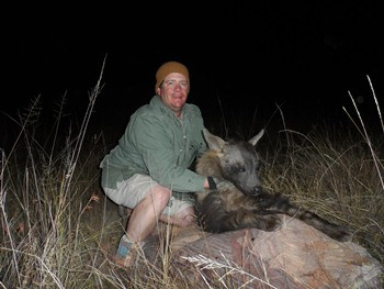 Brown Hyena Hunting