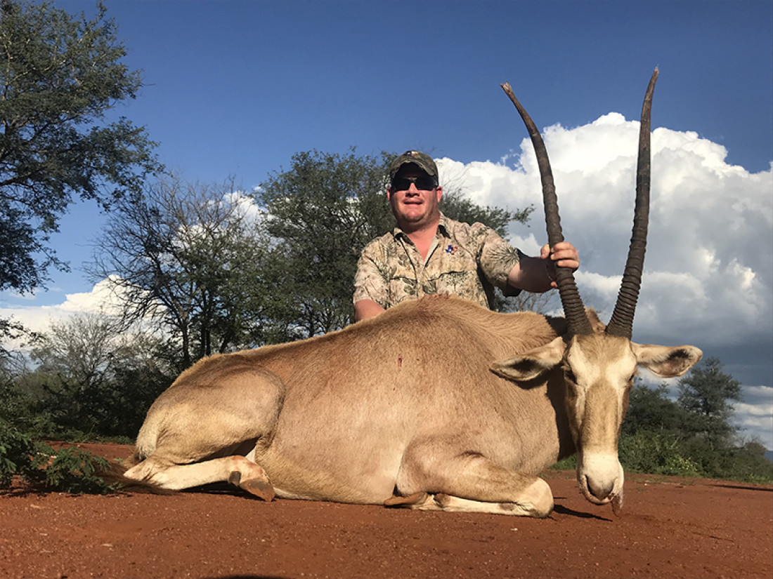 Golden Gemsbok Hunting