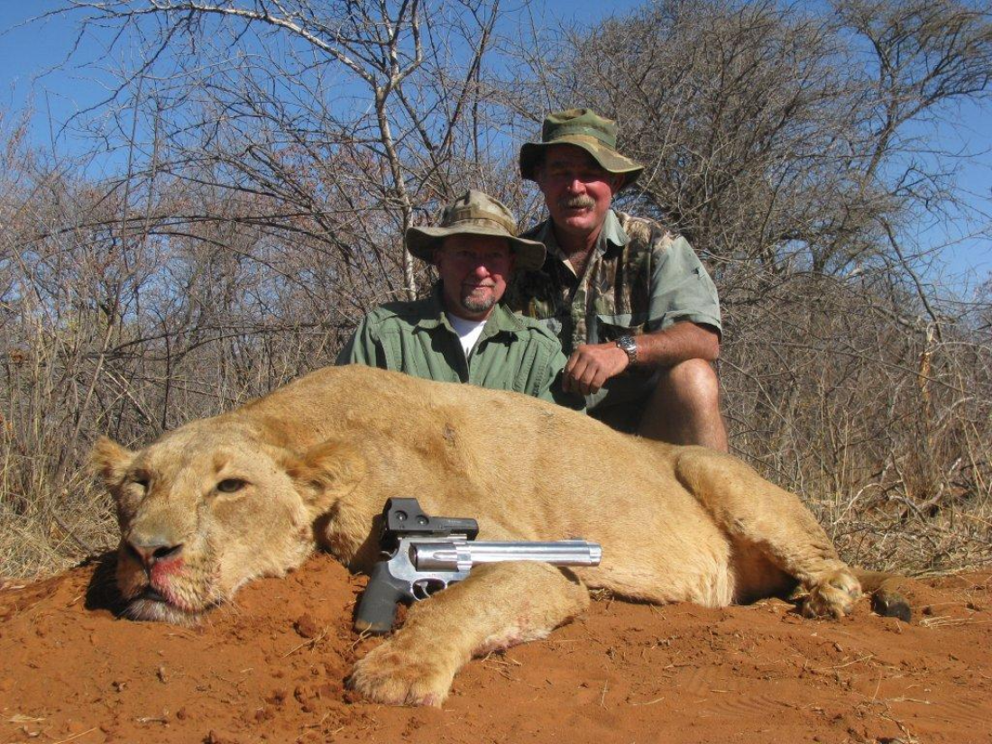 Lion Hunting