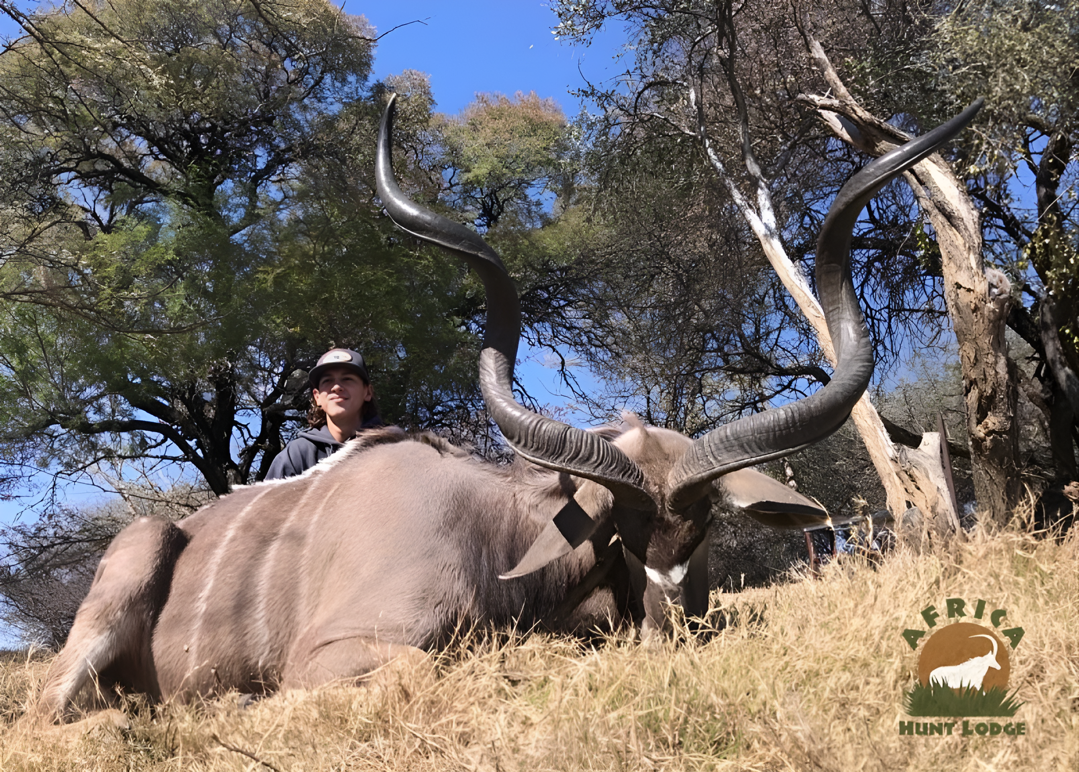 Kudu hunting