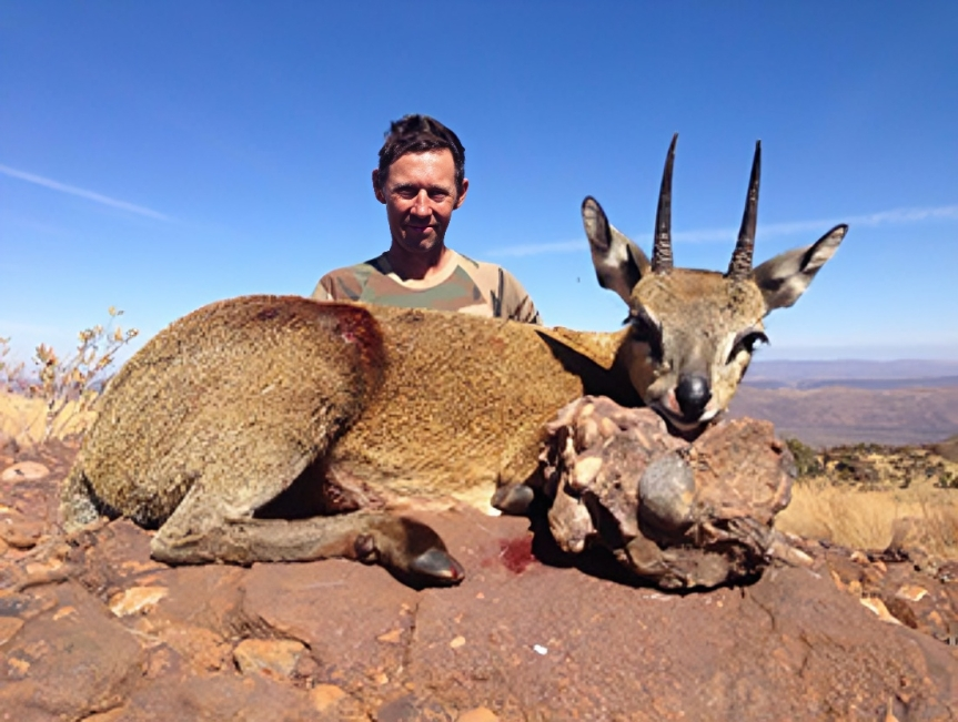 Klipspringer Hunting