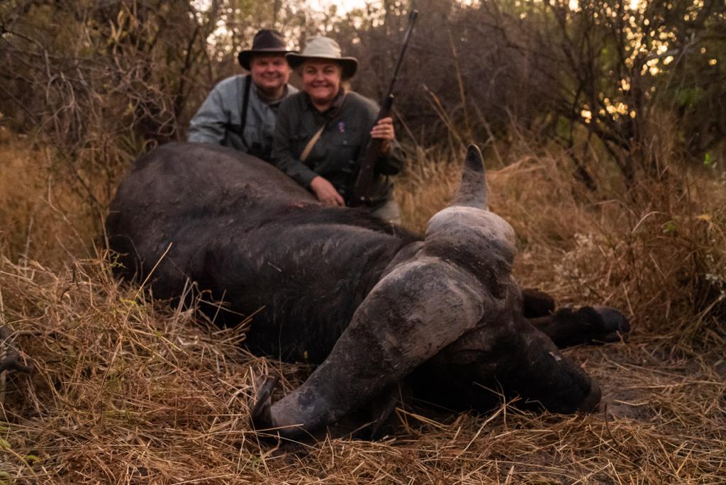 Hunting the Cape Buffalo