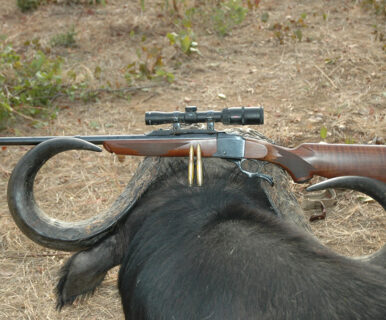 Choosing the Right Gun