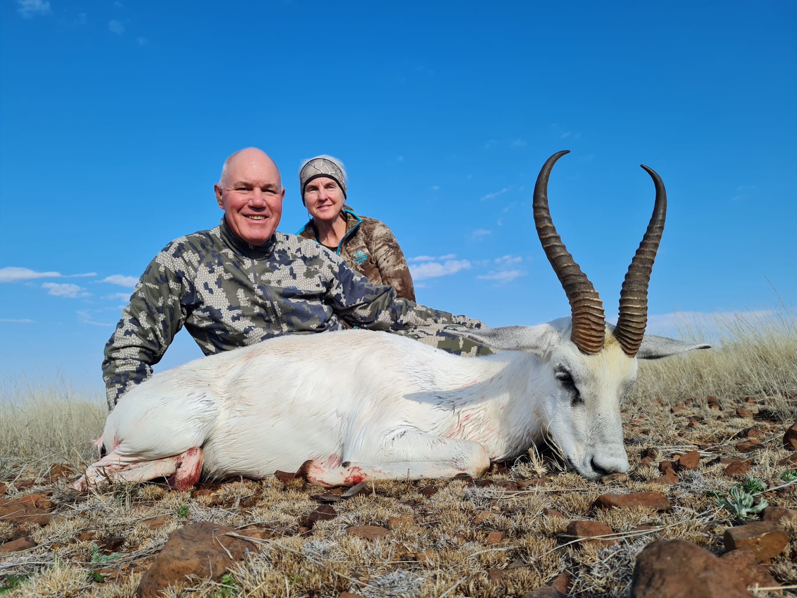 White Springbok Hunting