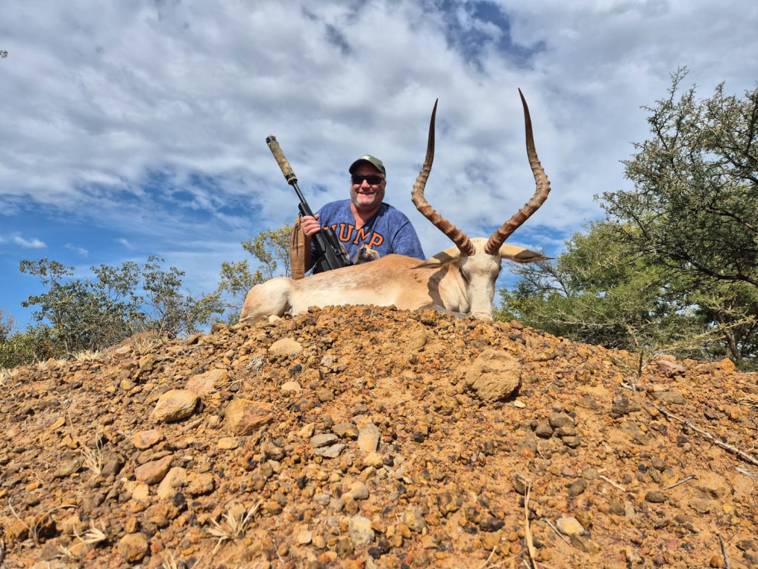 White Flanked Impala Hunt