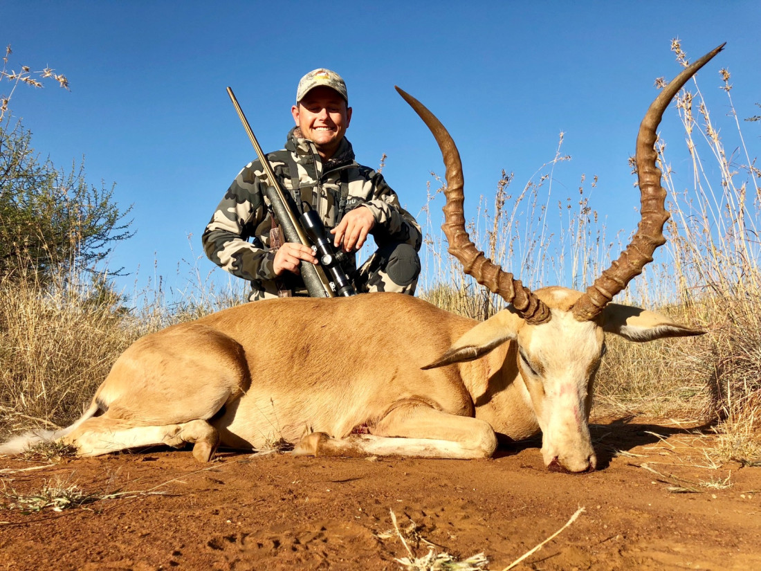 White Flanked Impala Hunting