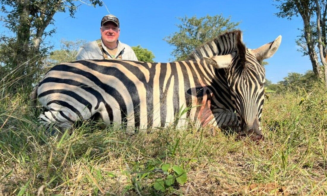 Zebra Hunting
