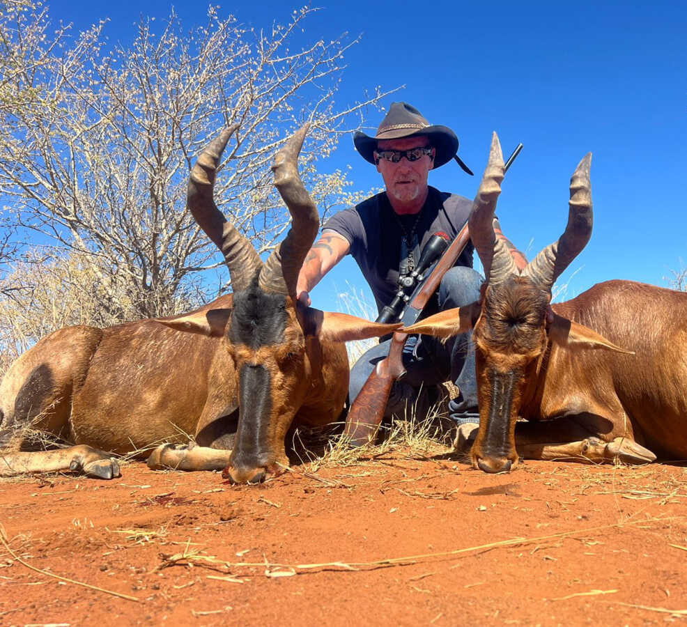 Red Hartebeest Hunting