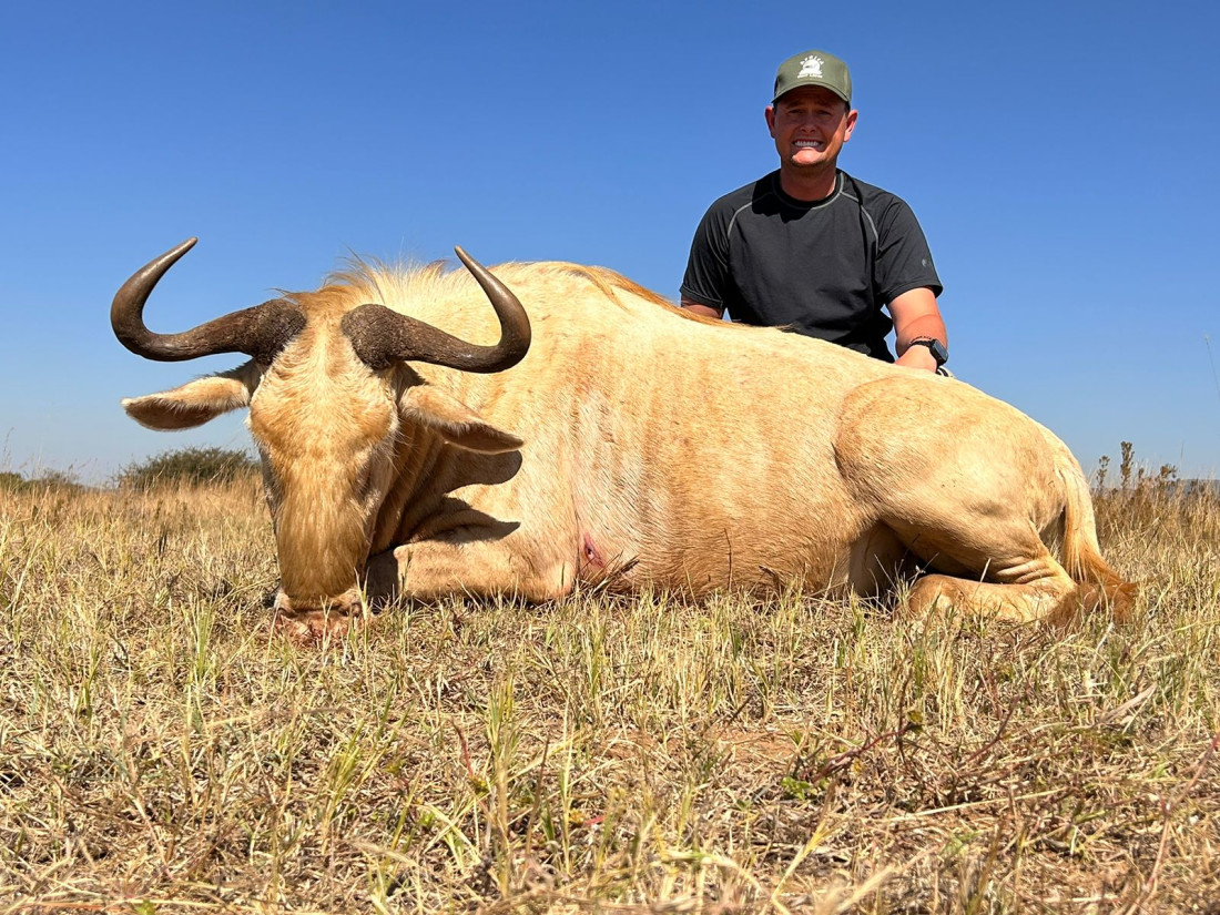 Royal Wildebeest Hunting