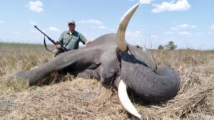what to expect on a safari hunt