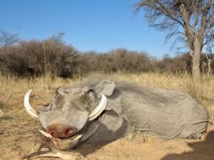 african hunting safari